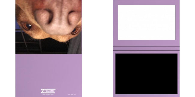 Custom Solid Z Palette