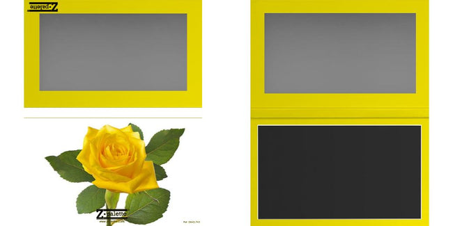 Custom Large Z Palette