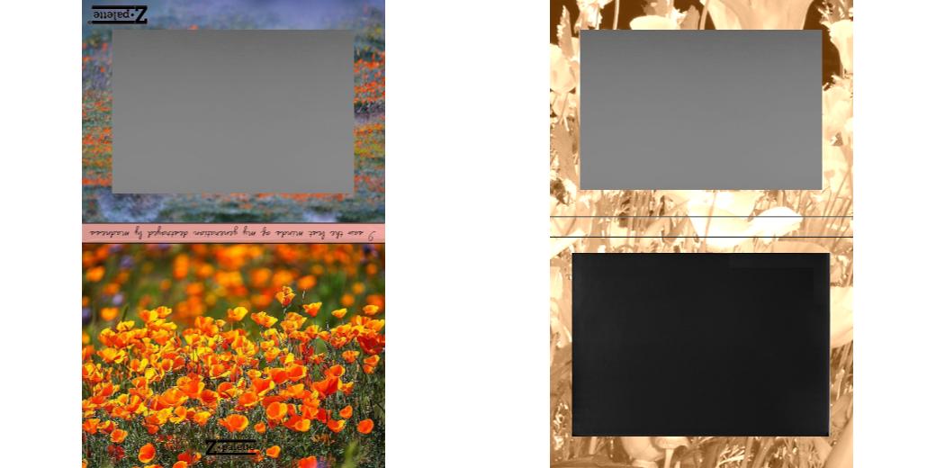 Custom Extra Large Z Palette