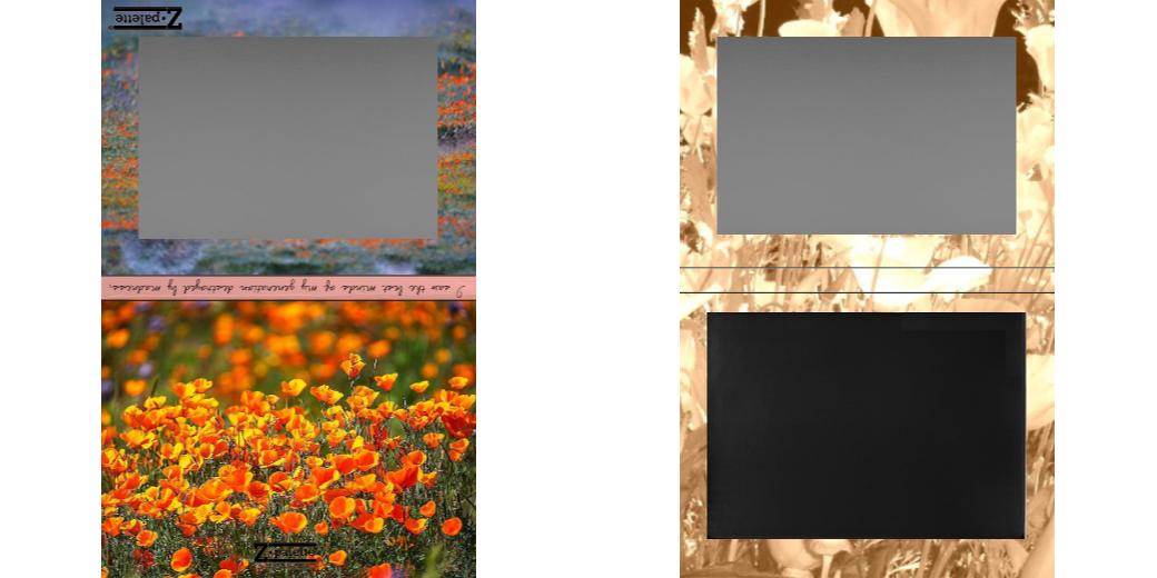 Custom Extra Large Z Palette