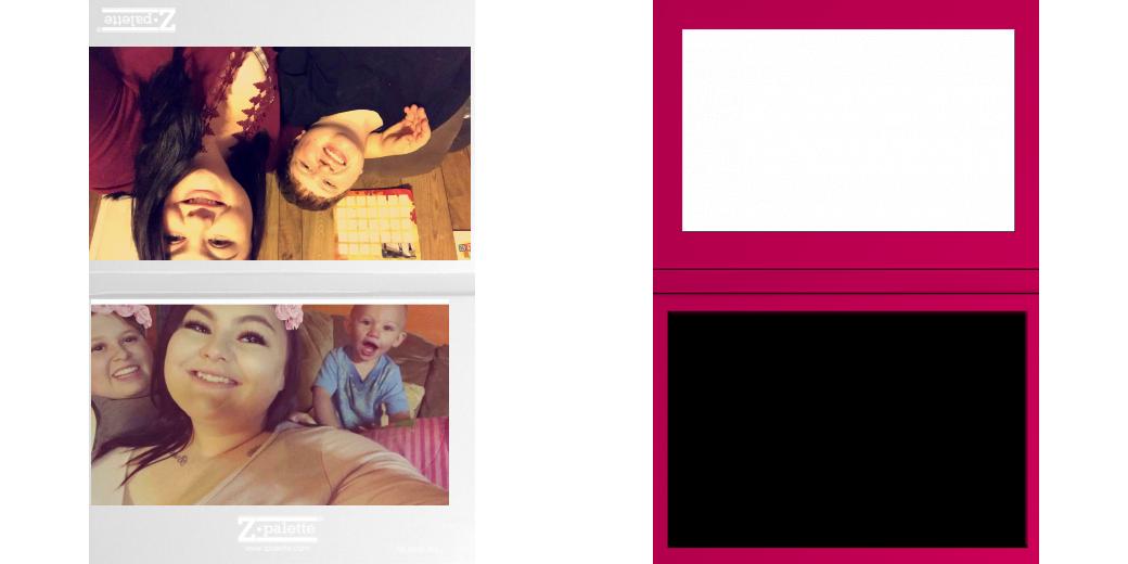 Custom Solid Z Palette