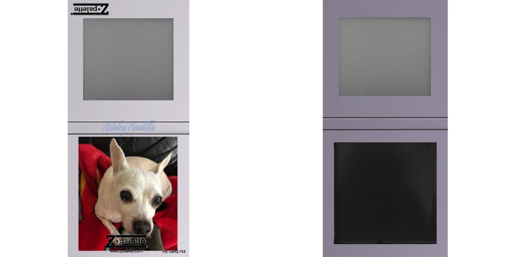 Custom Small Z Palette