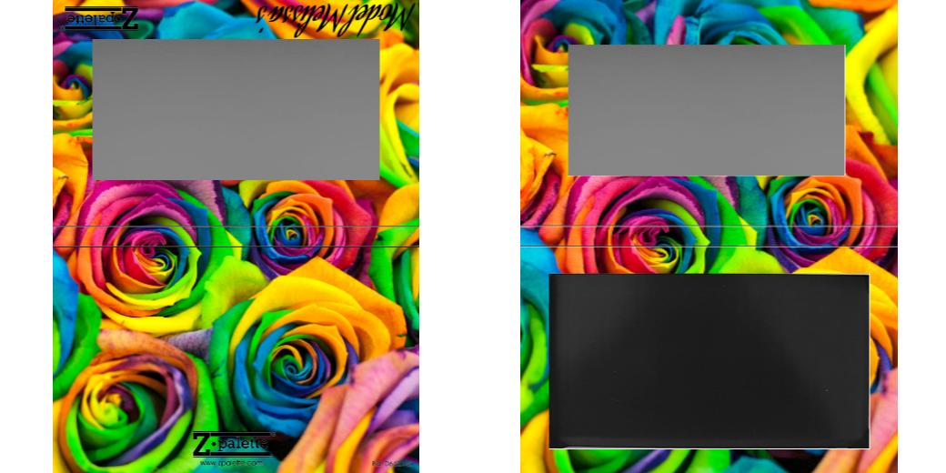 Custom Medium Deep Z Palette