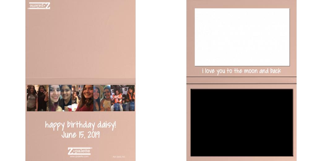 Custom Solid Z Palette