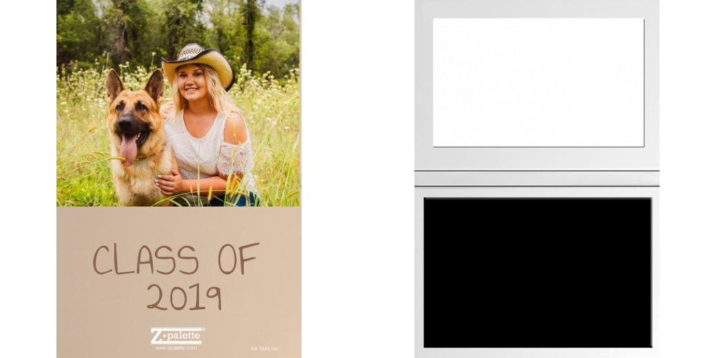 Custom Solid Z Palette