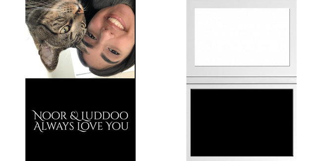 Custom Solid Z Palette