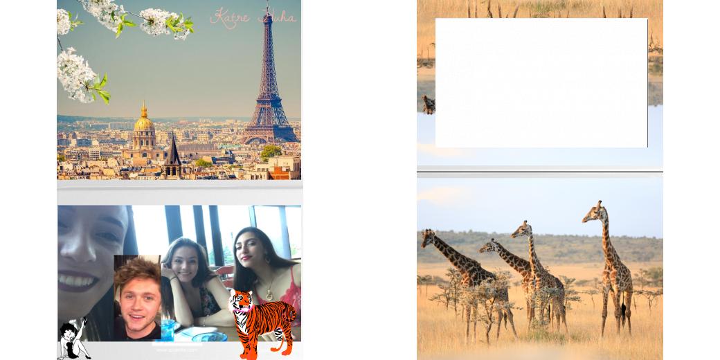 Custom Solid Z Palette