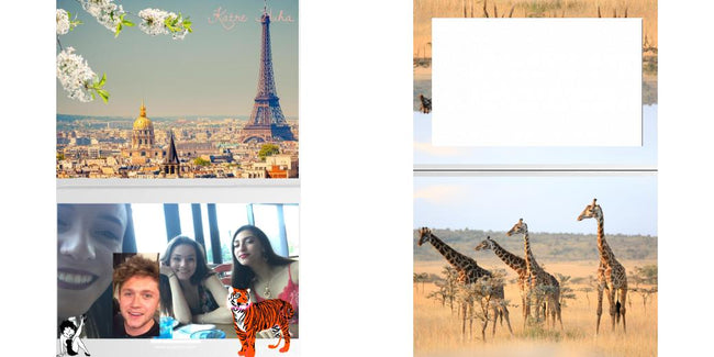 Custom Solid Z Palette