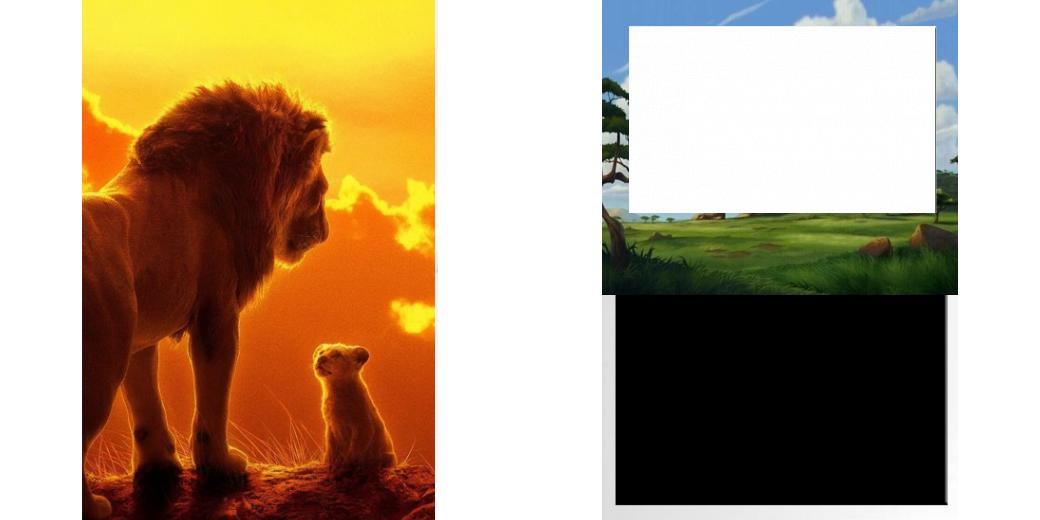 Custom Solid Z Palette