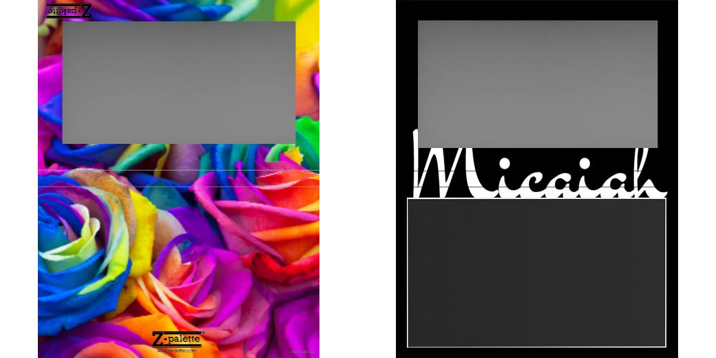 Custom Large Z Palette