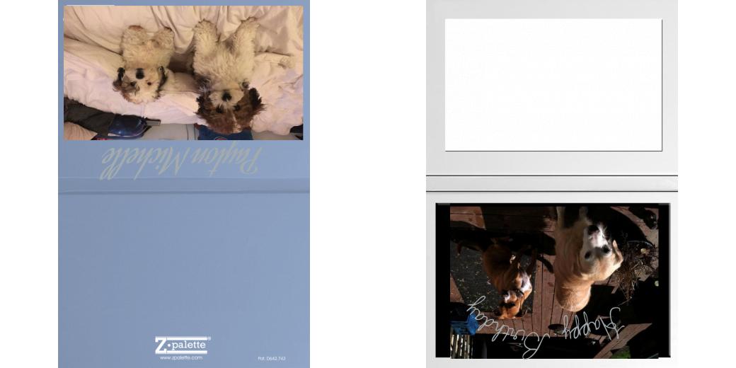 Custom Solid Z Palette