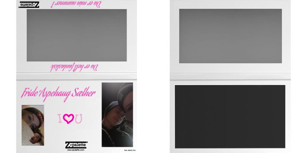 Custom Large Z Palette