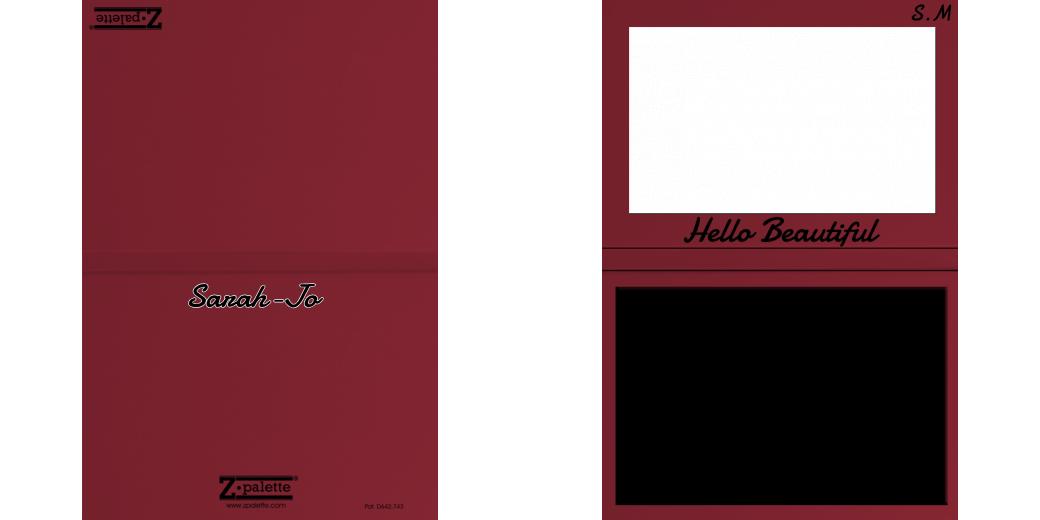 Custom Solid Z Palette