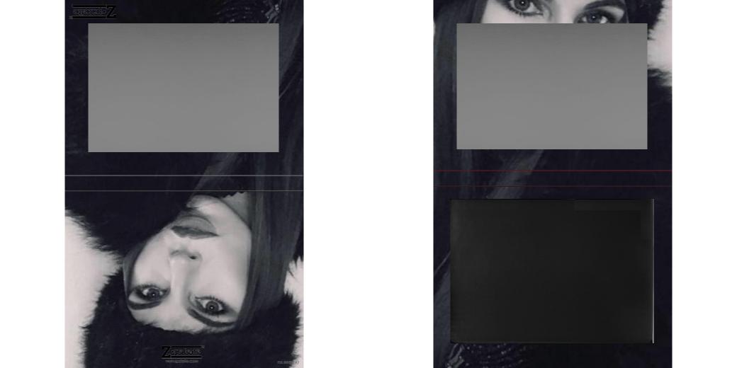 Custom Extra Large Z Palette