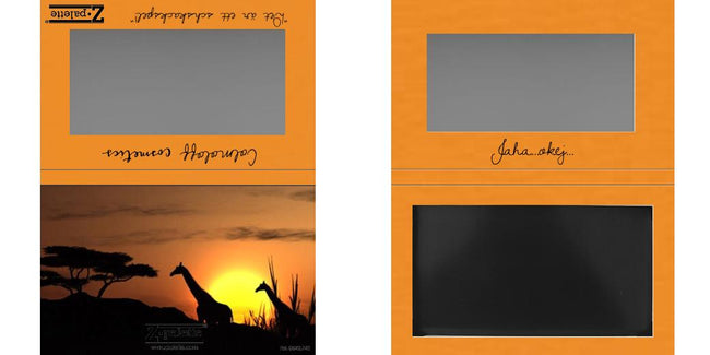 Custom Medium Deep Z Palette