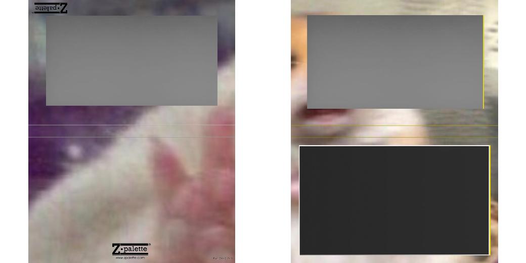 Custom Large Z Palette