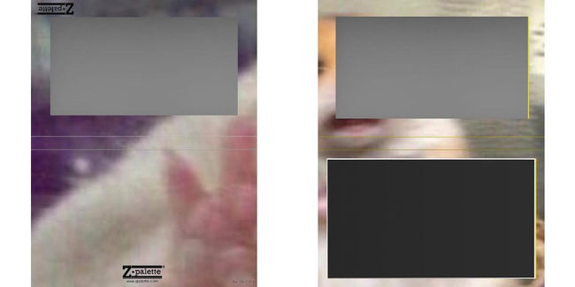 Custom Large Z Palette