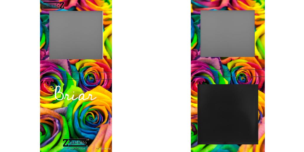 Custom Small Z Palette