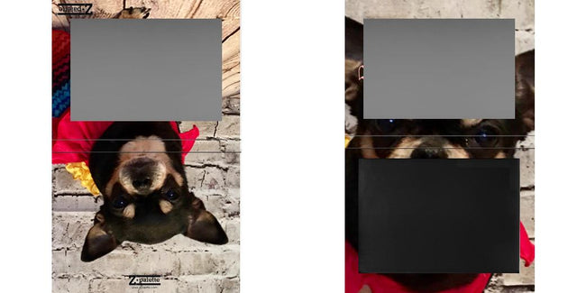 Custom Extra Large Z Palette