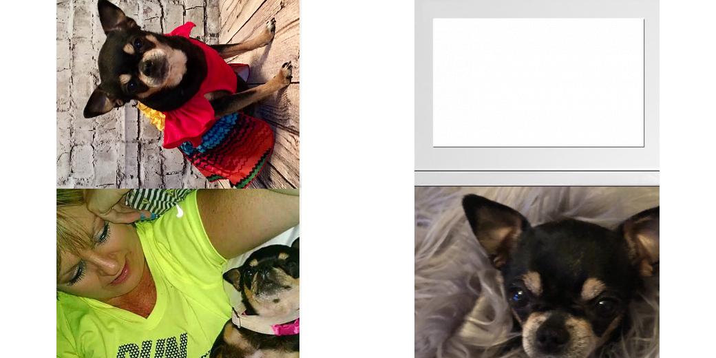 Custom Solid Z Palette