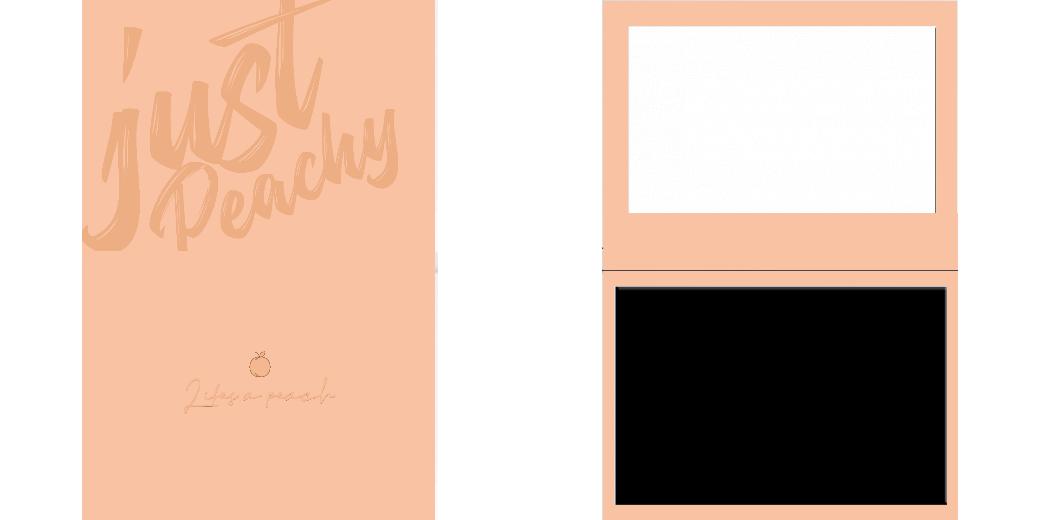 Custom Solid Z Palette