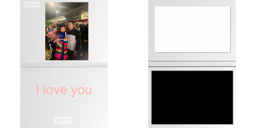 Custom Solid Z Palette