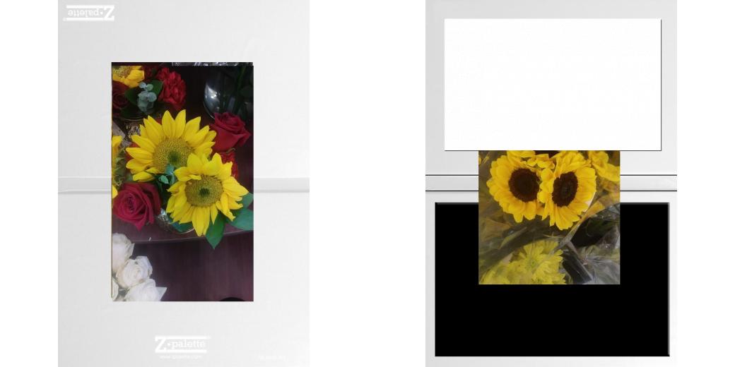 Custom Solid Z Palette