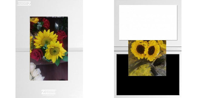 Custom Solid Z Palette