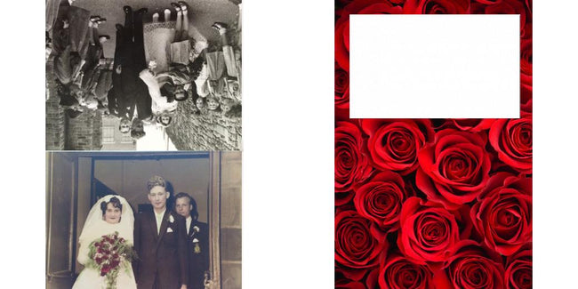 Custom Solid Z Palette