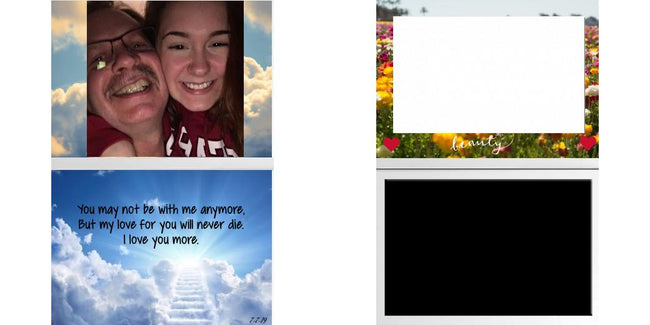 Custom Solid Z Palette