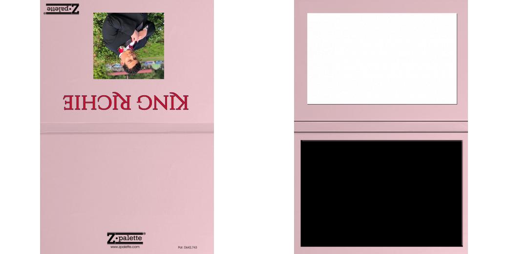 Custom Solid Z Palette