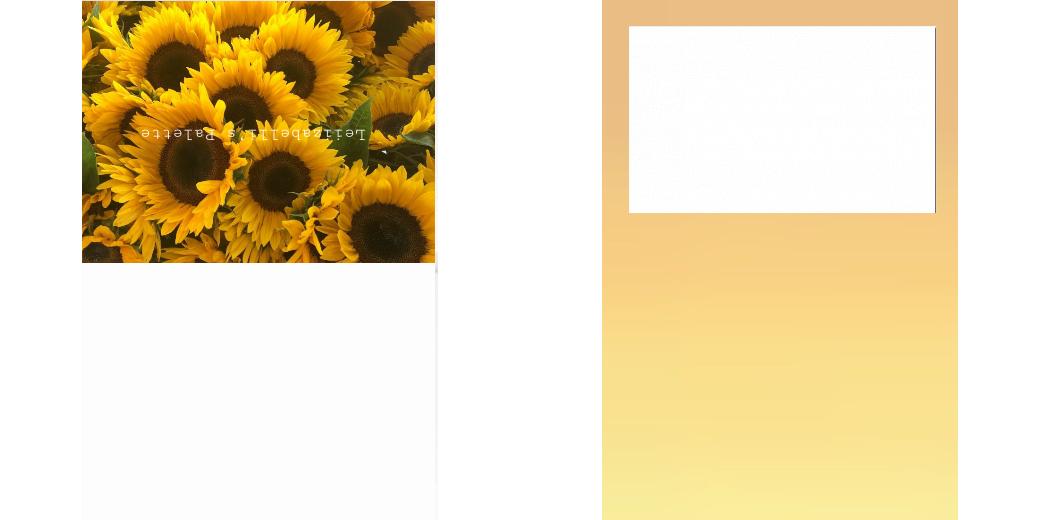 Custom Solid Z Palette