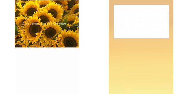 Custom Solid Z Palette