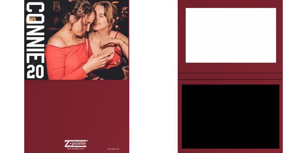 Custom Solid Z Palette