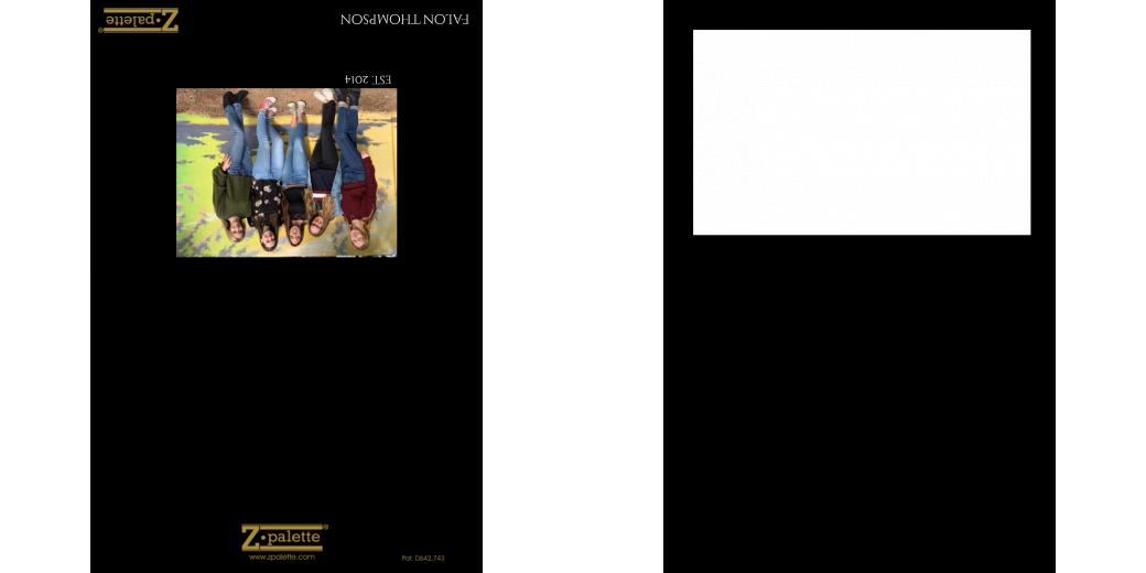 Custom Solid Z Palette