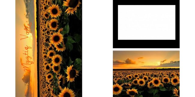 Custom Solid Z Palette