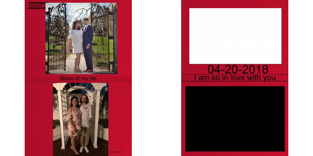 Custom Solid Z Palette