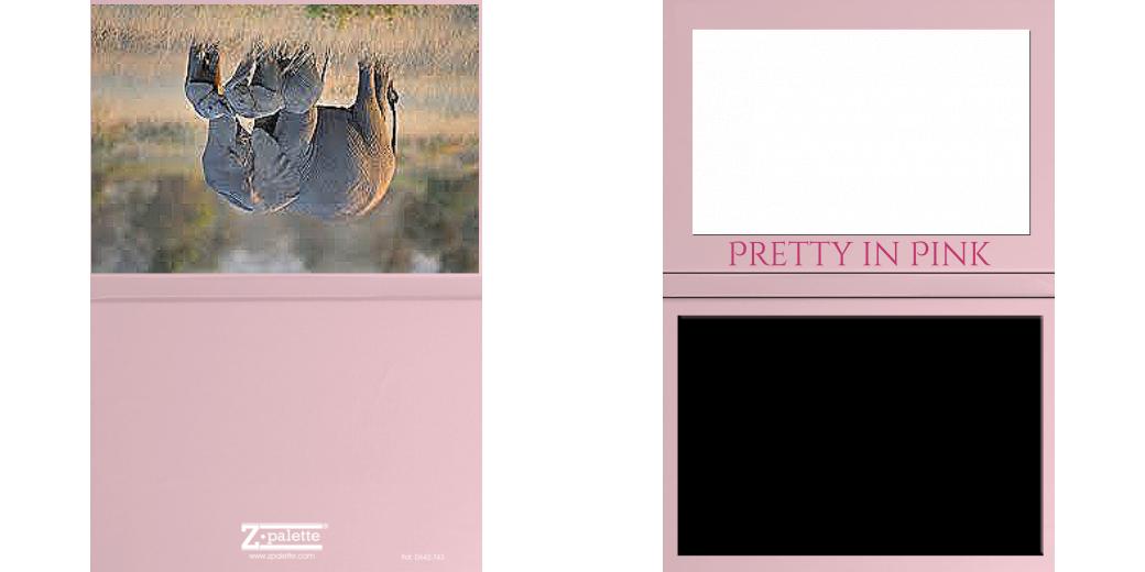 Custom Solid Z Palette