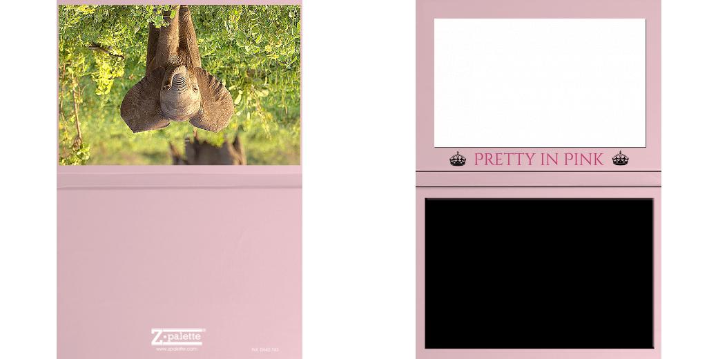 Custom Solid Z Palette