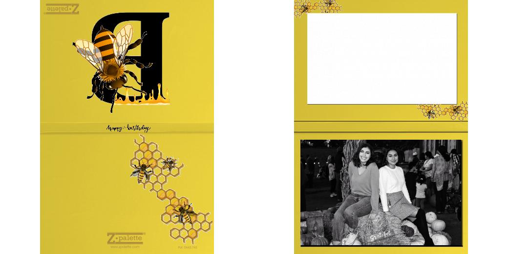 Custom Solid Z Palette