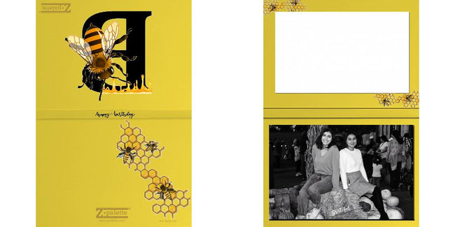 Custom Solid Z Palette