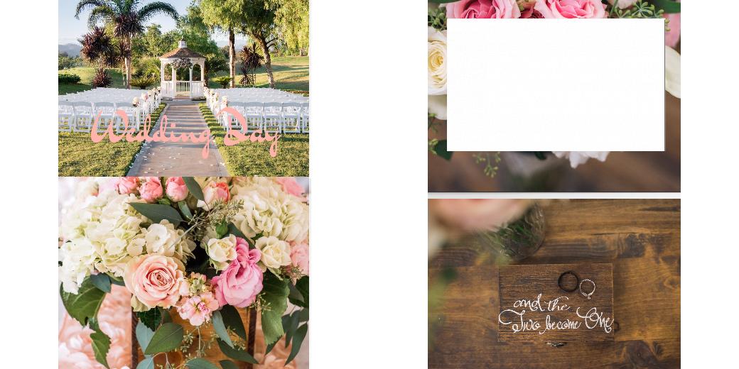 Custom Solid Z Palette