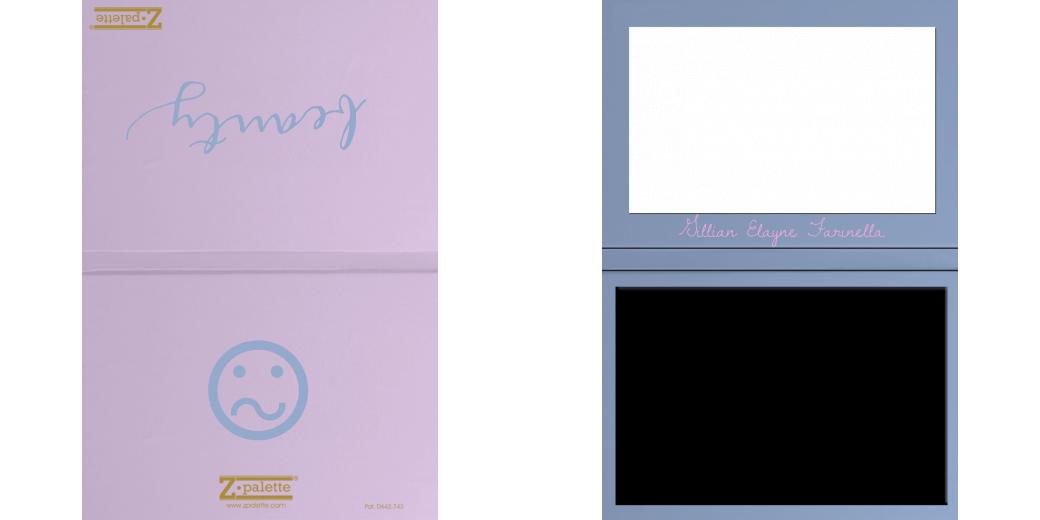 Custom Solid Z Palette