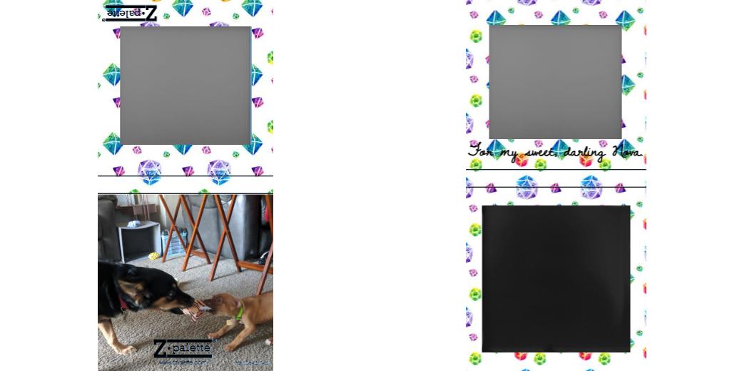 Custom Small Z Palette