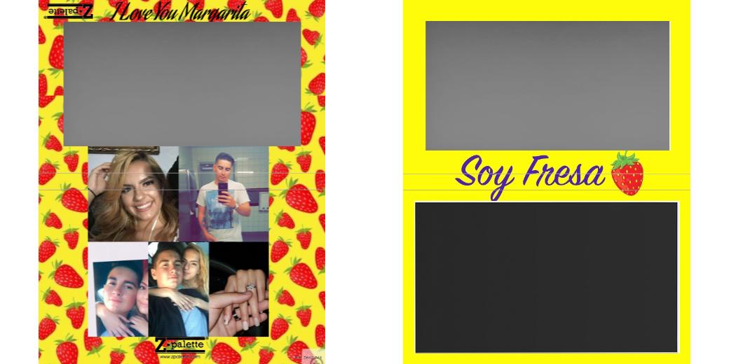 Custom Large Z Palette