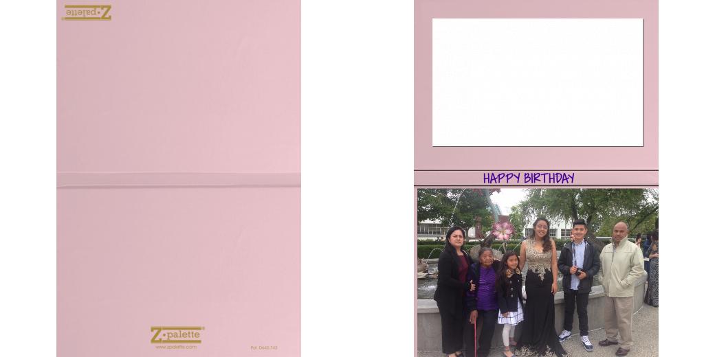 Custom Solid Z Palette