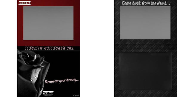 Custom Extra Large Z Palette