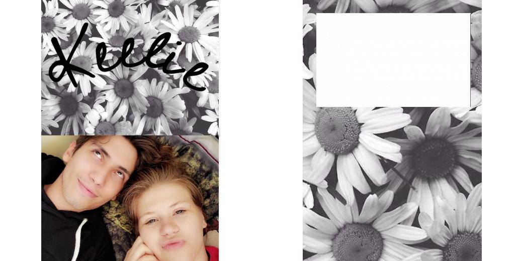 Custom Solid Z Palette