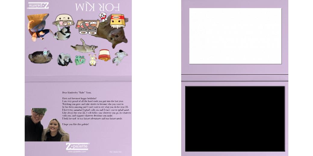 Custom Solid Z Palette