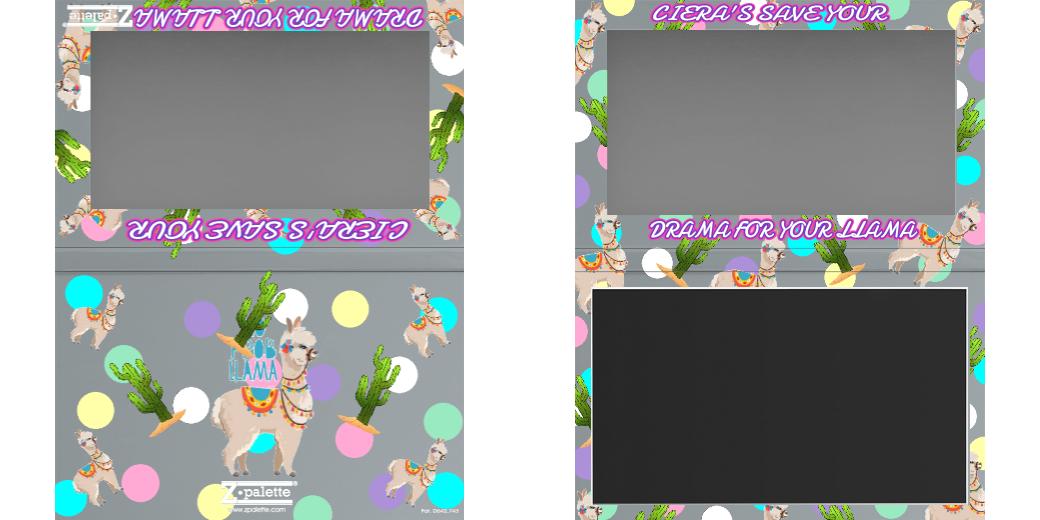 Custom Large Z Palette